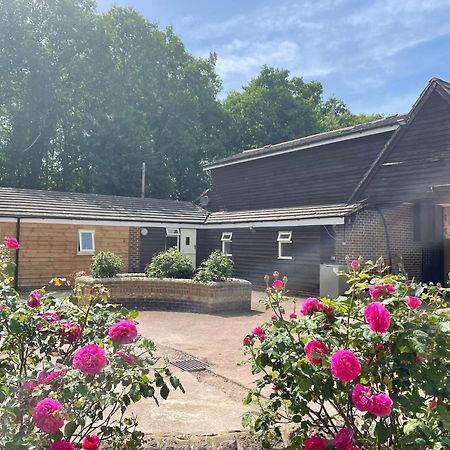 The Rose Cottage Wisborough Green Экстерьер фото