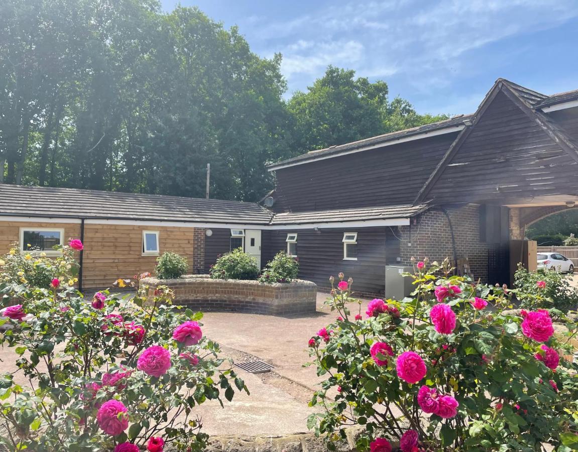 The Rose Cottage Wisborough Green Экстерьер фото